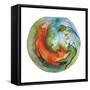 Fox in the Round-Wyanne-Framed Stretched Canvas