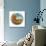 Fox in the Round-Wyanne-Giclee Print displayed on a wall