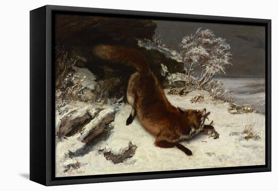 Fox in the Snow, 1860 (Oil on Canvas)-Gustave Courbet-Framed Stretched Canvas