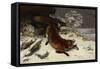 Fox in the Snow, 1860 (Oil on Canvas)-Gustave Courbet-Framed Stretched Canvas