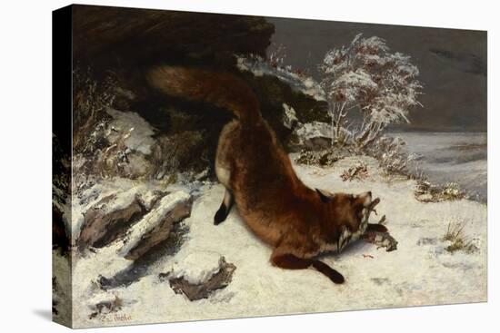 Fox in the Snow, 1860 (Oil on Canvas)-Gustave Courbet-Stretched Canvas