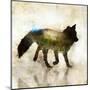 Fox Joy I-Ken Roko-Mounted Art Print