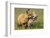 Fox Kits At Play-null-Framed Art Print