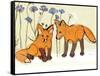 Fox Kits-Robbin Rawlings-Framed Stretched Canvas