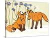 Fox Kits-Robbin Rawlings-Stretched Canvas