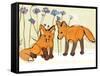 Fox Kits-Robbin Rawlings-Framed Stretched Canvas