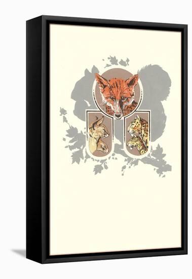 Fox, Lynx, Cougar and Squirrel Graphic-null-Framed Stretched Canvas