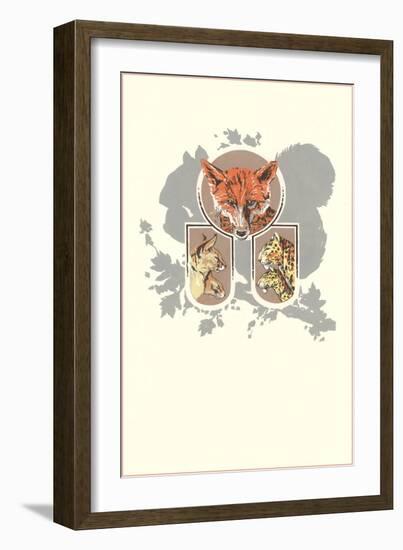 Fox, Lynx, Cougar and Squirrel Graphic-null-Framed Giclee Print