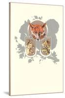 Fox, Lynx, Cougar and Squirrel Graphic-null-Stretched Canvas