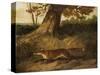 Fox on the Run-John Frederick Herring I-Stretched Canvas