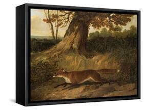 Fox on the Run-John Frederick Herring I-Framed Stretched Canvas