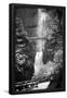 Essential Black