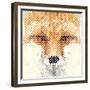 Fox Portrait Made of Geometrical Shapes-Wision-Framed Premium Giclee Print