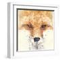 Fox Portrait Made of Geometrical Shapes-Wision-Framed Art Print