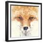 Fox Portrait Made of Geometrical Shapes-Wision-Framed Art Print