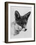 Fox Portrait-null-Framed Photographic Print