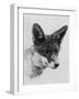 Fox Portrait-null-Framed Photographic Print