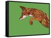 Fox Pounce-Drawpaint Illustration-Framed Stretched Canvas