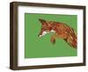 Fox Pounce-Drawpaint Illustration-Framed Giclee Print