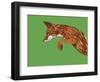 Fox Pounce-Drawpaint Illustration-Framed Giclee Print