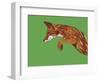 Fox Pounce-Drawpaint Illustration-Framed Giclee Print