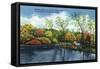 Fox River Valley, Illinois, Fishing Scene on the Fox River-Lantern Press-Framed Stretched Canvas