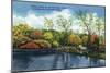 Fox River Valley, Illinois, Fishing Scene on the Fox River-Lantern Press-Mounted Art Print