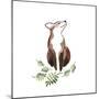 Fox's Delight-null-Mounted Giclee Print