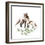 Fox's Joy-null-Framed Giclee Print