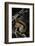 Fox Squirrel Feeding-W. Perry Conway-Framed Photographic Print