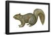 Fox Squirrel (Sciurus Niger), Mammals-Encyclopaedia Britannica-Framed Poster