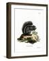 Fox Squirrel-null-Framed Giclee Print