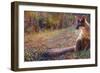 Fox Tail Thicket-Iris Scott-Framed Art Print