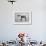 Fox Terrier, 2004-Lawrie Simonson-Framed Giclee Print displayed on a wall