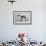 Fox Terrier, 2004-Lawrie Simonson-Framed Giclee Print displayed on a wall