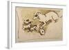 Fox Terrier and Puppies-Joseph Crawhall-Framed Giclee Print