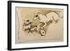 Fox Terrier and Puppies-Joseph Crawhall-Framed Giclee Print