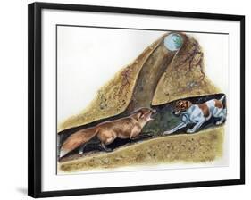 Fox Terrier (Canis Lupus Familiaris) Discovering Red Fox (Vulpes Vulpes) in Den-null-Framed Giclee Print