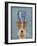 Fox Terrier with Blue Vase-Fab Funky-Framed Art Print