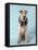 Fox Terrier with Headphones-null-Framed Stretched Canvas