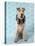 Fox Terrier with Headphones-null-Stretched Canvas