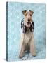 Fox Terrier with Headphones-null-Stretched Canvas