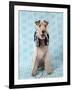 Fox Terrier with Headphones-null-Framed Premium Photographic Print