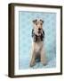 Fox Terrier with Headphones-null-Framed Photographic Print