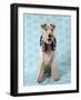 Fox Terrier with Headphones-null-Framed Photographic Print