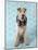 Fox Terrier with Headphones-null-Mounted Photographic Print