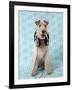 Fox Terrier with Headphones-null-Framed Photographic Print