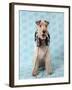 Fox Terrier with Headphones-null-Framed Photographic Print