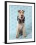 Fox Terrier with Headphones-null-Framed Photographic Print