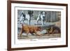 Fox Terrier-Louis Agassiz Fuertes-Framed Premium Giclee Print